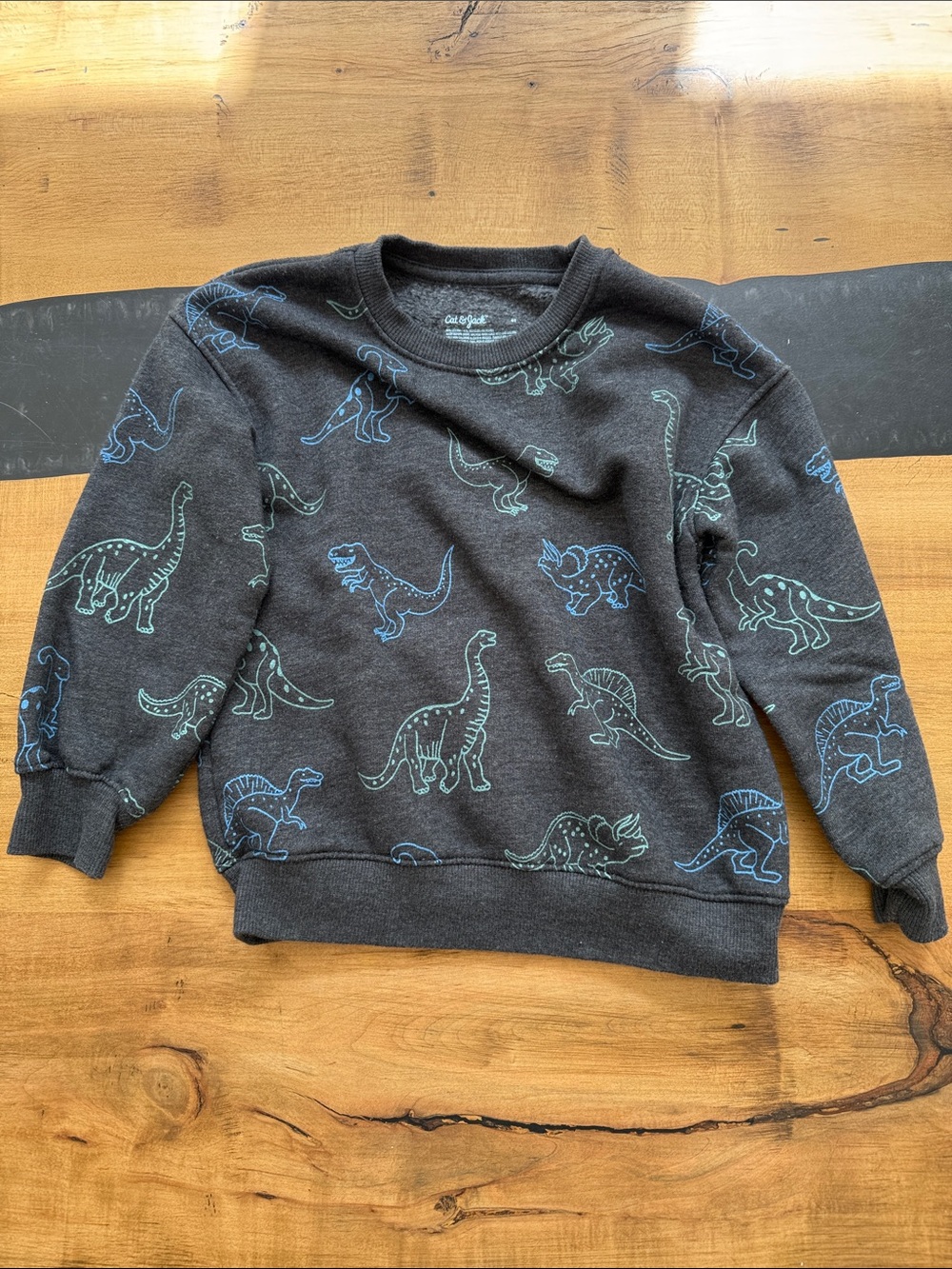 Cat & Jack Charcoal Sweatshirt with Blue & Teal Dinosaur Prints